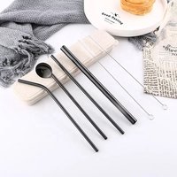 Stainless Steel Drinking Spoon Straw Set Box