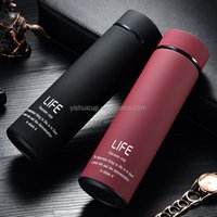 Stainless Steel Water Bottle Filter