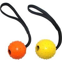 Rubber Dog Toy Ball on Rope