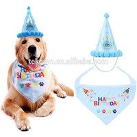 Cute Dog Birthday Hat Bandana Collar Set