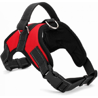 Pet Dog Collar Lead Set