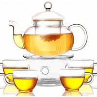 Transparent Borosilicate Glass Portable Tea Set Teapot
