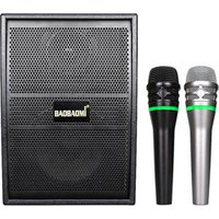 2019 New home Karaoke active bluetooth speaker with wireless microphone