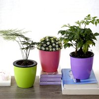 wholesale plant custom cheap self watering modern garden planter pots set flowerpot color plastic planters pot flower pots