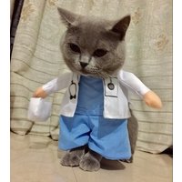 Pet Cat Doctor Cosplay Costume
