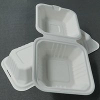 Cellulose Pulp Food Box Disposable Ecological Tableware Takeout Food container