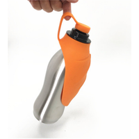 Portable Stainless Steel Pet Water Bottle
