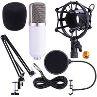 BM700 Recording Dynamic Condenser Microphone with Shock Mount With Scissor Stand Pop Filter