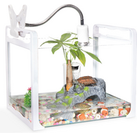 Small Rectangular Dual Use Tank Drying Platform Turtles