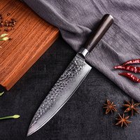 8 inch Professional Color Wood handle Japanese 67 Layers Damascus Kitchen Chef Knife