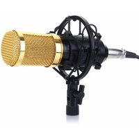 Hot Selling BM800 Professional Studio Broadcasting Recording Condenser Microphone