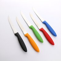 Brasil Style High Quality Picnic Utensil Set Stainless Steel Serrated Knife Set with Plastic Handle