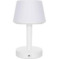 Bluetooth Speaker Lighting Speaker With Answer Phone TF Card AUX Function