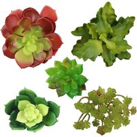 Pack 5 Artificial Succulent Plants