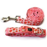 FP Training Pure Cotton Dog Leash All Sizes
