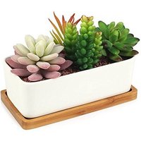 Decorative Garden White Ceramic Succulent Planter Ceramic Cactus Flower Pot Plant Pot with Bamboo Tray (Rectangular)