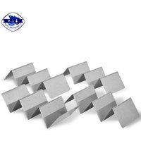 Custom most like stainless steel taco holder plate