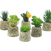 Mini Artificial Potted Succulent Plant Ornament