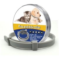 8 Month Flea Tick Collar Dogs Cats
