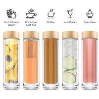 Double Wall Glass Borosilicate Lid Water Bottle with Infuser & Strainer 400ml/14oz