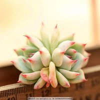 3sku 3jietijia 0jiaoqi