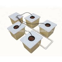 Drip Growing System 4 Dutch Cloner Buckets