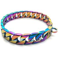 Large Stainless Steel Dog Collar Leash