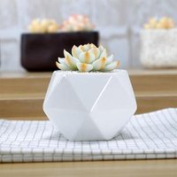 new design quality mini black and white geometric planter ceramic succulent pot