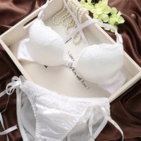 Push Up Lace Bra Panty Set