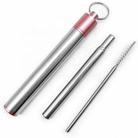 Telescopic Metal Straw Reusable Collapsible Drink Straw with Metal Capsule Shell Silicone Tips and Cleaning Brush