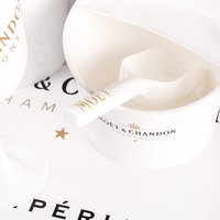 Moët & Chandon Ice Imperial Ice Cube Holder Shelf Scoop