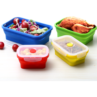 4 Piece Silicone Food Grade Folding Lunch Box Set