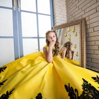 Embroidered Long Dress Special Occasions