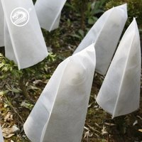 Biodegradable Pp Nonwoven Plant Tree Seedling Nursery Bag Grow Bag