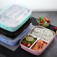 Double Wall Stainless Steel PP Plastic 4 compartment Bento Lunch Box Thermo Insulated Food Grade Container with Lock Custom Logo