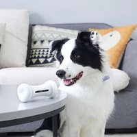 Bone Shaped Electronic Pet Toy App Remote Control