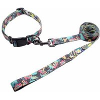 China wholesale customized fashion paper card package dog collar and leash