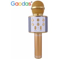 Wireless Karaoke Microphone for Kids with BT Speaker,USB-Stick Player, Portable Karaoke Machine