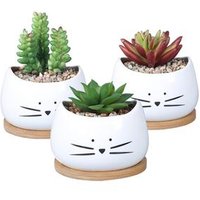 Cute Cat Ceramic Succulent Planter Kit