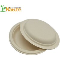 Unbleached Compostable Biodegradable Disposable Sugarcane Pulp Plates