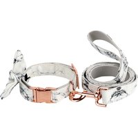 Fashion cheap price dog collar and leash with hardware accessories