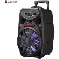 8 inch rechargeable portable amplifier speaker with microphone and disco light