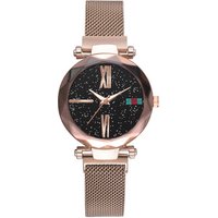 WJ-8359 Fashion Smart Purple 6 Colors 16Mm Stainless Steel Watch Band Magnetic Strap Watch