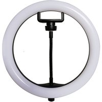 10inch LED Selfie Ring Light with Cell Phone Holder Stand for Make Up , selfie light of 3 modes