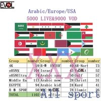 Arabic premium IPTV subscription reseller panel USA Kurd ENTERT Israel EGYPTE iptv North Africe free test adult m3u Middle East