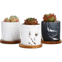Marble Design Ceramic Succulent Pot Bamboo Tray