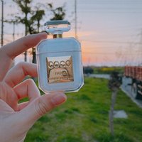 Luxury Perfume Bottle Cover Case for Air Pod with Earhook and Fashion Chain