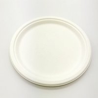 10 inch Compostable Sturdy Round Disposable Plates Made of Natural Sugarcane Bagasse