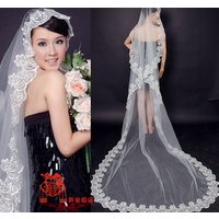 Long Single Layer Embroidered Lace Bridal Wedding Veil