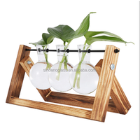 Handblown Glass Terrarium Wooden Stand